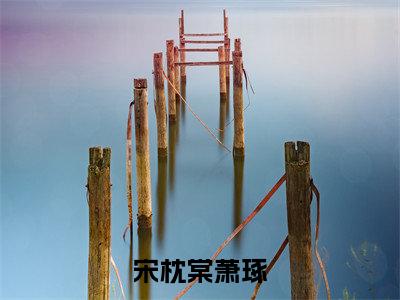 宋枕棠萧琢全文免费阅读无弹窗_（萧琢宋枕棠）全文在线阅读大结局