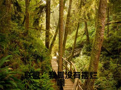 联盟：我真没有摆烂啊全文（陈冬青）抖音热推小说全集无删减_陈冬青免费最新章节列表_笔趣阁