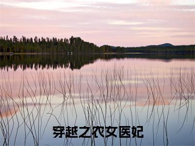 小说穿越之农女医妃全文免费阅读无弹窗大结局_（魏青鸾）全文在线阅读