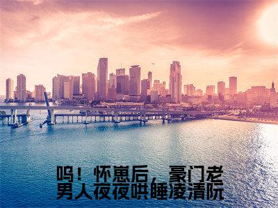 呜！怀崽后，豪门老男人夜夜哄睡凌清阮(司湛寒凌清阮)全文免费阅读无弹窗大结局_(呜！怀崽后，豪门老男人夜夜哄睡凌清阮免费阅读全文大结局)最新章节列表