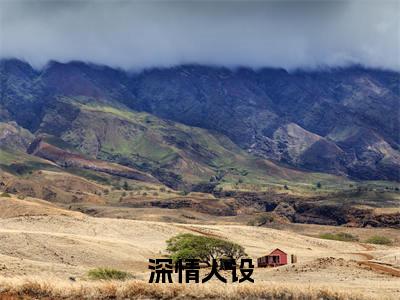 秦墨小说全文免费阅读_（秦墨）深情人设最新章节列表笔趣阁