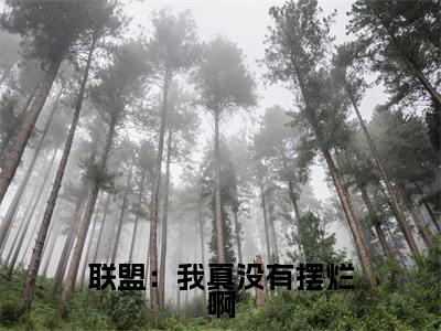 联盟：我真没有摆烂啊（陈冬青全文在线阅读）-联盟：我真没有摆烂啊免费阅读