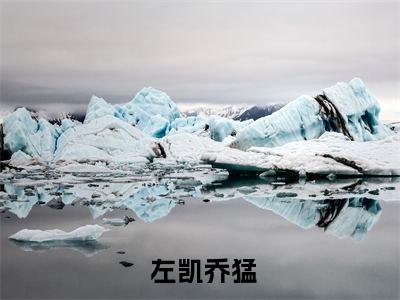 神龙兵王( 左凯乔猛)全文免费阅读无弹窗大结局_神龙兵王完整版在线阅读章节列表_笔趣阁