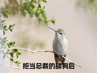 拒当总裁的舔狗后（孟南絮周寒之）全文免费阅读无弹窗_拒当总裁的舔狗后小说免费阅读_笔趣阁