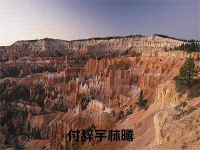林曦付辞宇长篇免费小说，付辞宇林曦最新章节在线阅读