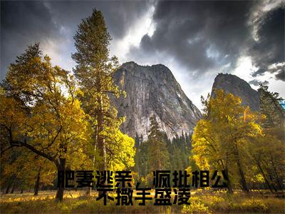 小说肥妻逃亲，疯批相公不撒手盛凌全文免费阅读 盛凌云楚夕小说全文在线赏析_笔趣阁