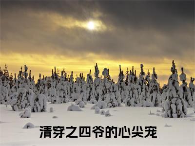 清穿之四爷的心尖宠（尹卿仪）小说全文大结局-（尹卿仪）全章节完整版在线阅读