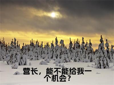 营长，能不能给我一个机会？（莫金艳詹树泓）全文免费阅读无弹窗_(莫金艳詹树泓)营长，能不能给我一个机会？最新章节列表