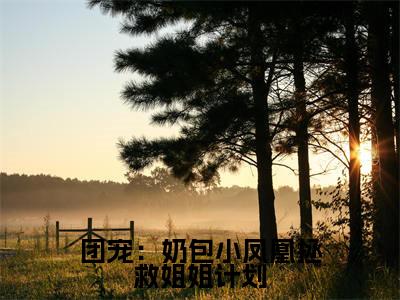 云垚（团宠：奶包小凤凰拯救姐姐计划）全文免费阅读_(团宠：奶包小凤凰拯救姐姐计划)云垚最新章节列表_笔趣阁