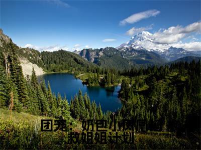 团宠：奶包小凤凰拯救姐姐计划:云垚全文免费阅读无弹窗大结局_团宠：奶包小凤凰拯救姐姐计划:云垚免费阅读