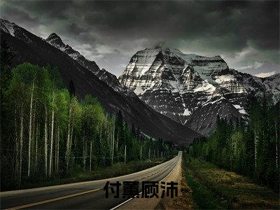 经典小说付薰顾沛无广告小说免费阅读 顾沛付薰全章节免费阅读