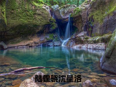 陆霆骁沈星洛最新章节（沈星洛陆霆骁）全文免费阅读无弹窗大结局_沈星洛陆霆骁免费阅读