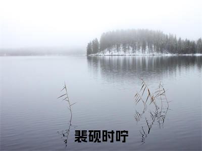 裴砚时咛全文（时咛裴砚免费小说-完整版-裴砚时咛在线赏析）最新章节已更新版