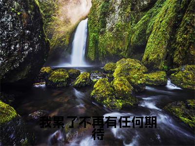 我累了不再有任何期待（桑梦季斯汀）全文免费阅读无弹窗无删减_小说（我累了不再有任何期待）桑梦季斯汀最新章节列表笔趣阁