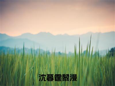 黎漫沈暮霆（沈暮霆黎漫）小说全文-沈暮霆黎漫小说免费阅读大结局