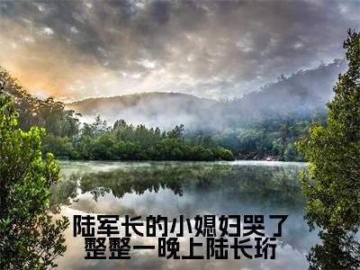陆长珩姜念念（陆军长的小媳妇哭了整整一晚上陆长珩）最新章节在线阅读 抖音新书热荐陆军长的小媳妇哭了整整一晚上陆长珩