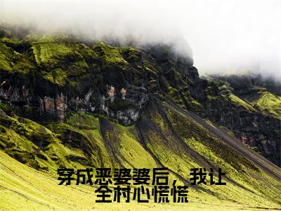 小说(穿成恶婆婆后，我让全村心慌慌)全文免费阅读_(林九娘)小说全文免费阅读