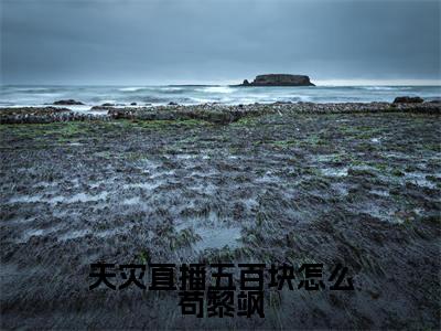 黎飒（天灾直播五百块怎么苟黎飒）全文免费阅读无弹窗大结局-天灾直播五百块怎么苟黎飒(黎飒)小说全文免费阅读最新章节列表