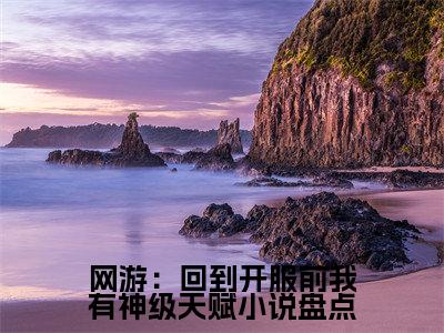  林天浩周小胖全文免费阅读_ 林天浩周小胖（网游：回到开服前我有神级天赋）最新章节列表笔趣阁