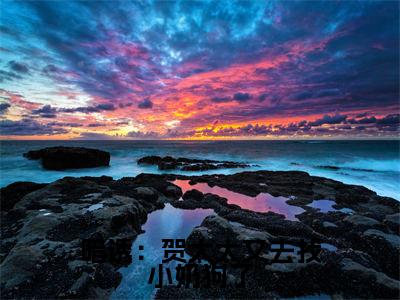 暗诱：贺太太又去找小奶狗了（贺庭舟温欲晚）全文免费阅读-暗诱：贺太太又去找小奶狗了（贺庭舟温欲晚）最新章节小说阅读