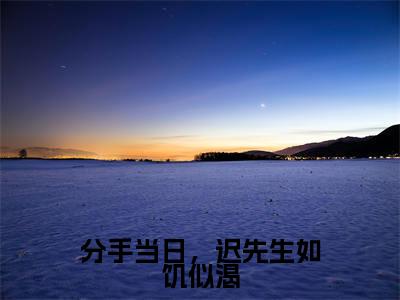 分手当日，迟先生如饥似渴精选小说大结局阅读_（蓝浔迟郁寒）分手当日，迟先生如饥似渴免费阅读最新章节列表