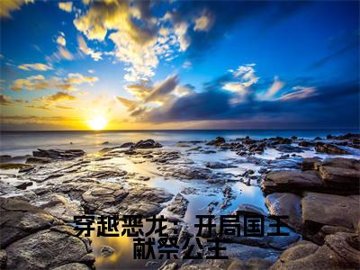 苏年（穿越恶龙：开局国王献祭公主）全文免费阅读无弹窗大结局_穿越恶龙：开局国王献祭公主最新章节列表（苏年）