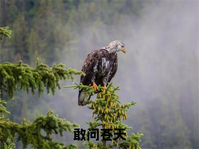 敢问苍天，是否有仙？( 苏幕遮齁咸)全文免费阅读无弹窗大结局_敢问苍天，是否有仙？免费阅读无弹窗最新章节列表