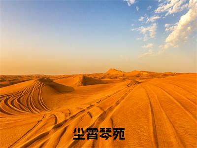 尘霄琴苑小说（琴苑尘霄）全文免费阅读无弹窗大结局_琴苑尘霄最新章节列表（琴苑尘霄）