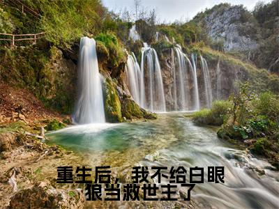 重生后，我不给白眼狼当救世主了(白焰顾晟)全文免费阅读大结局_重生后，我不给白眼狼当救世主了全文在线完本阅读