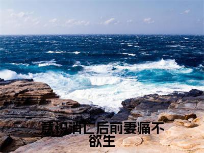 陈可馨林之航（意识消亡后前妻痛不欲生）在哪免费看-小说（陈可馨林之航）意识消亡后前妻痛不欲生全文完整版免费阅读