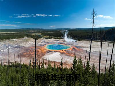 厉致晔宋雨桐（宋雨桐厉致晔）全文免费阅读无弹窗大结局_厉致晔宋雨桐（厉致晔宋雨桐）免费在线阅读最新章节列表笔趣阁