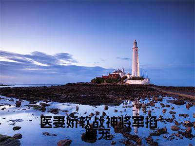 林清歌楚南枫今日阅读更新，医妻娇软战神将军掐腰宠全文在线看