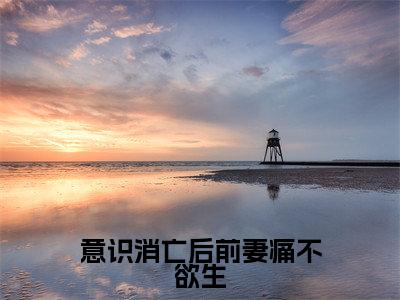 陈可馨林之航全文免费在线阅读_（意识消亡后前妻痛不欲生全文免费阅读无弹窗大结局）