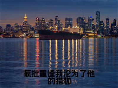任桉孟砚舟小说(疯批重逢我沦为了他的猎物)全文免费阅读无弹窗大结局_(任桉孟砚舟免费阅读全文大结局)最新章节列表