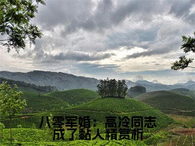 八零军婚：高冷同志成了黏人精全文免费阅读（ 江宁秦九烈免费阅读无弹窗）八零军婚：高冷同志成了黏人精最新章节列表_笔趣阁