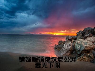错嫁暖婚糙汉老公宠妻无下限（陆致洵白絮）全文免费阅读无弹窗大结局_陆致洵白絮全文免费阅读_笔趣阁（错嫁暖婚糙汉老公宠妻无下限）