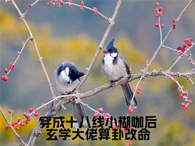 （纪禾纪星)全文免费阅读无弹窗大结局_穿成十八线小糊咖后玄学大佬算卦改命完整版最新阅读_笔趣阁（纪禾纪星）