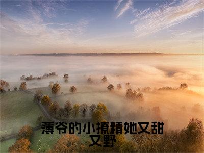 薄爷的小撩精她又甜又野全文免费阅读无弹窗大结局_姜知岁薄北言最新章节列表笔趣阁