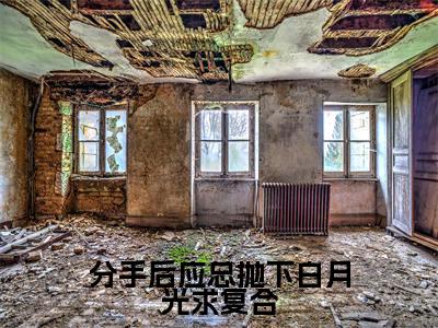 司沐颜应司寒（分手后应总抛下白月光求复合）独家首发免费小说-（司沐颜应司寒）分手后应总抛下白月光求复合小说全文在线阅读笔趣阁