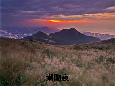 裴言澈楚栀柔（潮吻夜）全文免费阅读_(潮吻夜)裴言澈楚栀柔最新章节列表_笔趣阁