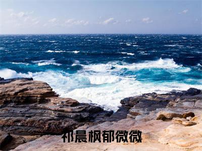 祁晨枫郁微微(祁晨枫郁微微)全文免费阅读无弹窗大结局_祁晨枫郁微微全文大结局最新章节列表_笔趣阁