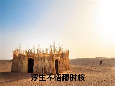 浮生不悟穆时桉免费小说全文免费阅读无弹窗大结局_秦舒言穆时桉完结版在线阅读