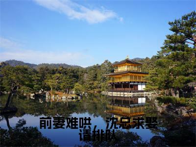 前妻难哄，沈总求娶请排队全文免费阅读_（沈熠任嘉嘉免费阅读无弹窗）前妻难哄，沈总求娶请排队最新章节列表笔趣阁