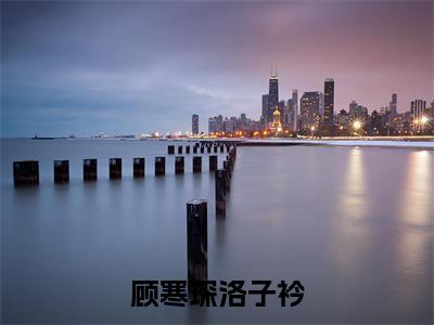 顾寒琛洛子衿小说全文免费阅读-（洛子衿顾寒琛）顾寒琛洛子衿精选小说大结局阅读