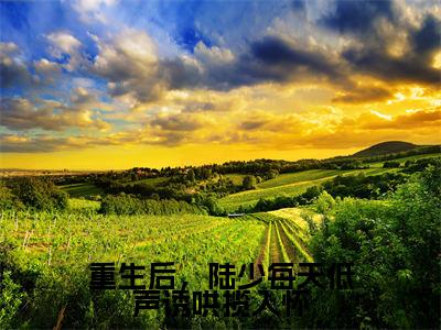 重生后，陆少每天低声诱哄揽入怀（陆怀屿虞萌）全文免费阅读无弹窗_重生后，陆少每天低声诱哄揽入怀最新小说_笔趣阁（陆怀屿虞萌）