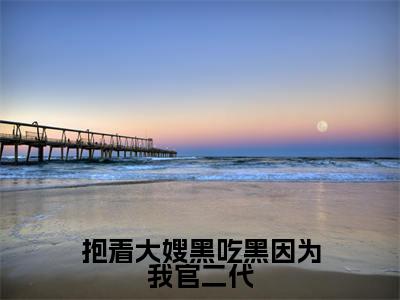 抱着大嫂黑吃黑因为我官二代在线阅读无弹窗_李阳最新章节列表_笔趣阁