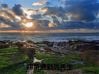 相亲遇到厉先生（童颜厉成洲）老书虫良心推荐小说-相亲遇到厉先生（童颜厉成洲）小说精彩免费试读