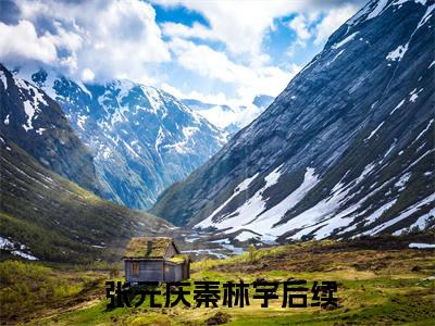 官嫂张元庆秦林宇新篇版阅读（ 张元庆秦林宇）全文免费阅读无弹窗_（官嫂张元庆秦林宇新篇版阅读小说免费阅读）最新章节列表笔趣阁