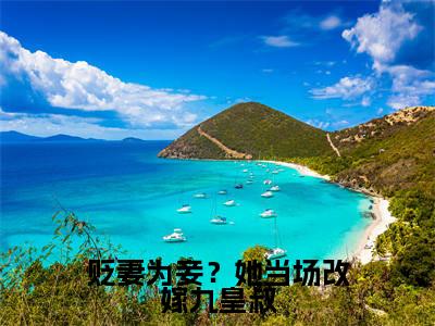榜单小说贬妻为妾？她当场改嫁九皇叔全文免费阅读无弹窗大结局-林云汐楚宴晔全文在线阅读