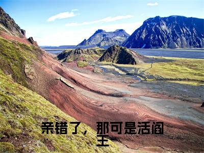 主角为谢震江佳倩的小说（亲错了，那可是活阎王）无弹窗大结局-最新小说亲错了，那可是活阎王全文阅读最新章节列表_笔趣阁